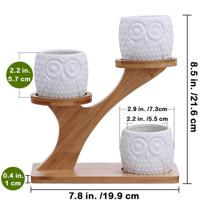 3pcs Owl Succulent Pots with 3 Tier Bamboo Saucers Stand Holder - White Modern Decorative Ceramic Flower Planter with Drainage - Home Office Desk Garden Mini Cactus Plant Pot Indoor Decoration