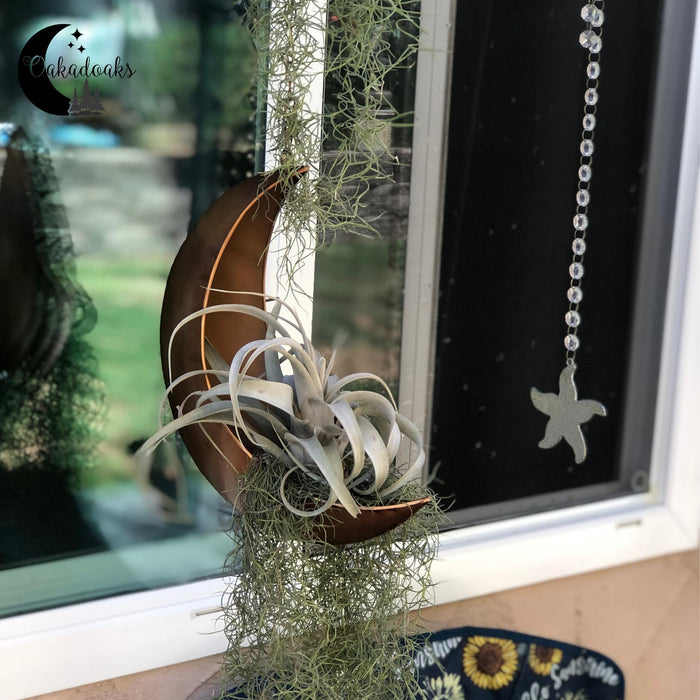 Hanging Moon Planter - Moms Day Gifts for Women - Moon Room Decor - Unique Planters for Succulents,Air Plant, Cactus, Artificial Plants- Plant Lover Gifts - Boho,Hippie, Witchy, Birthdays Gifts